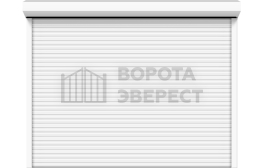 Ворота 3000×2300 с калиткой ВЭ-2007